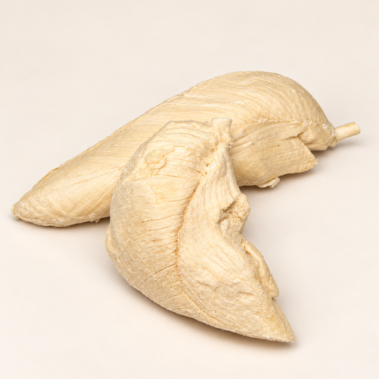 Freeze-Dried Chicken Breast – 100g
