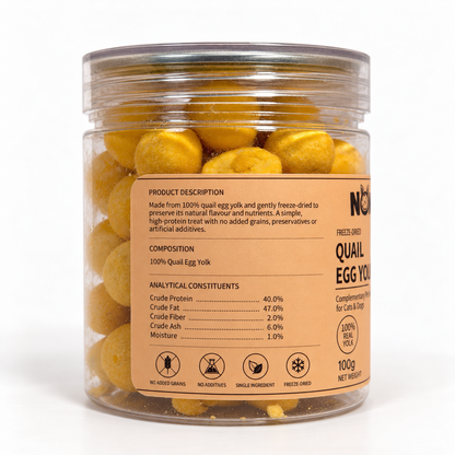 Freeze-Dried Quail Egg Yolk – 100g