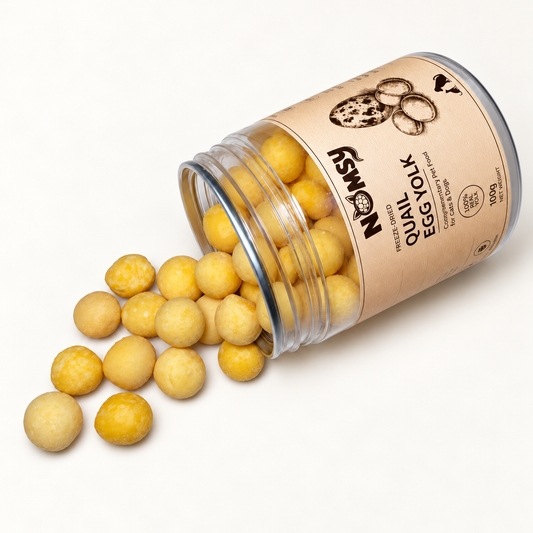Freeze-Dried Quail Egg Yolk – 100g