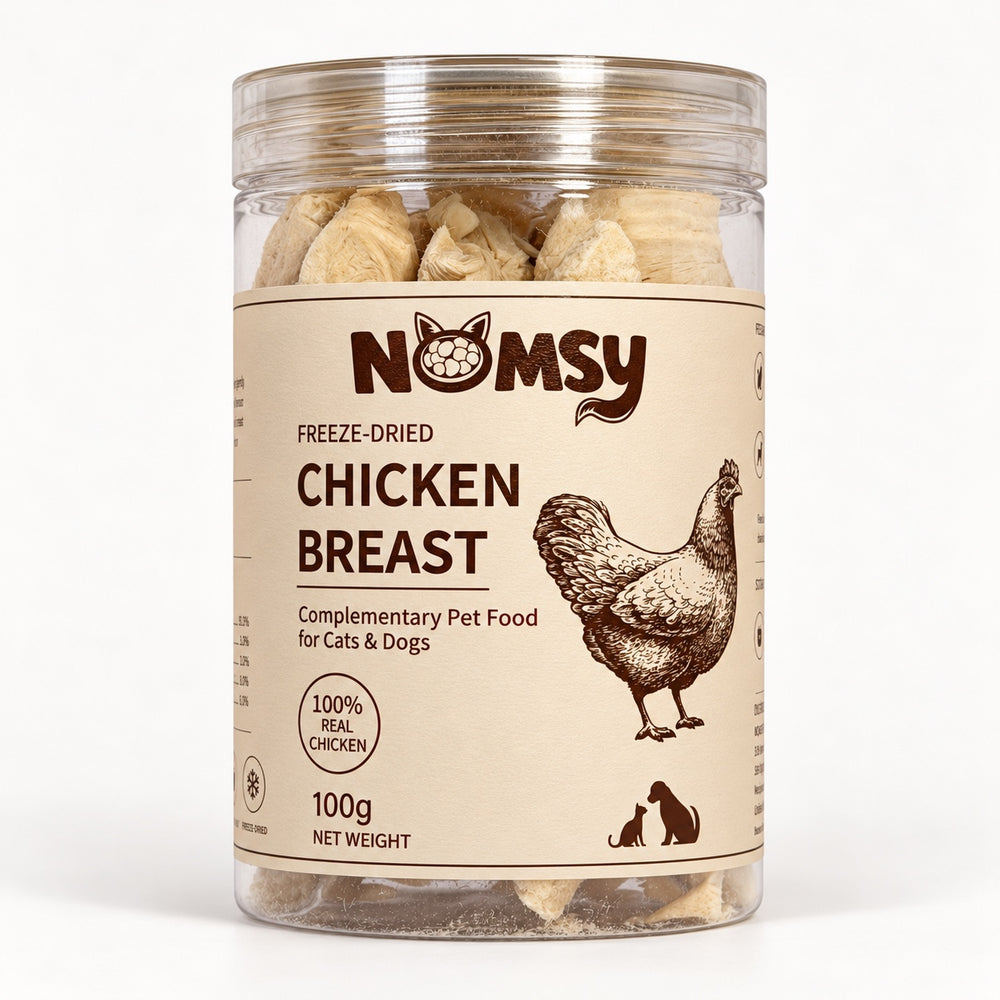 Freeze-Dried Chicken Breast – 100g